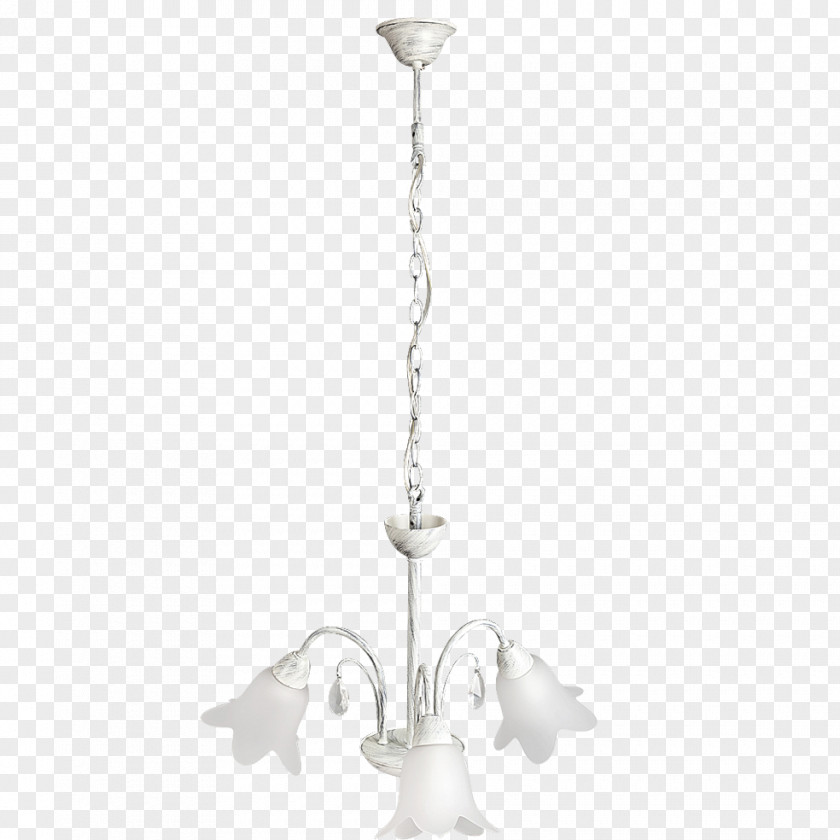 Light Lighting Chandelier Lamp Shades Incandescent Bulb PNG