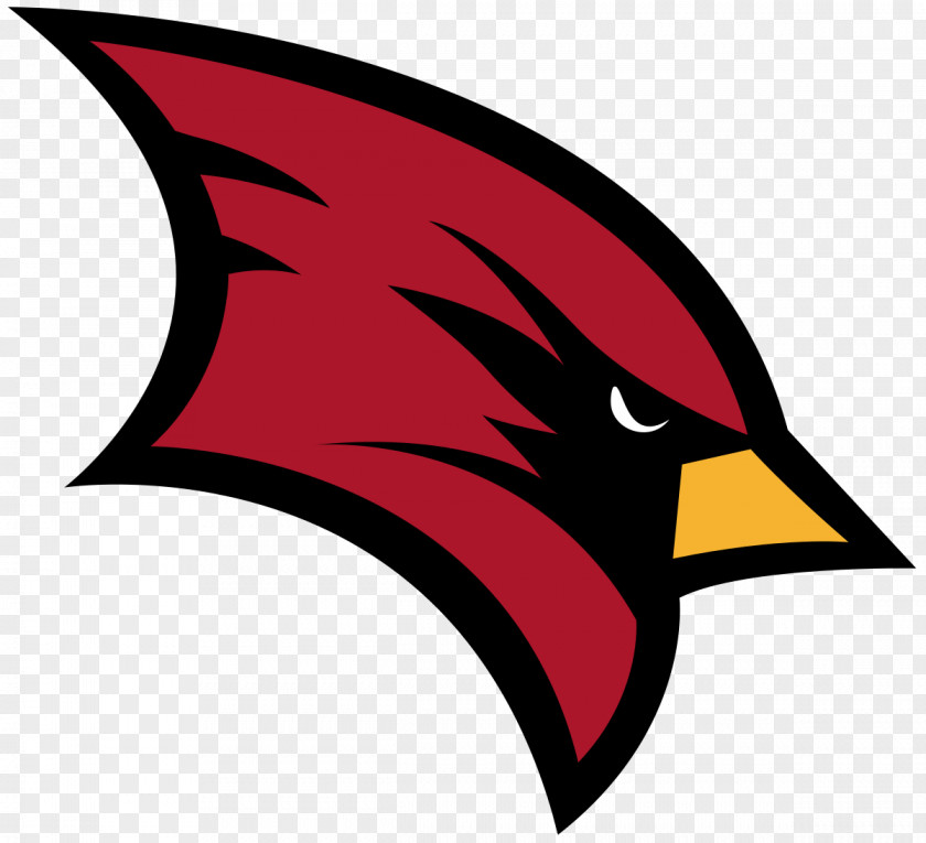 NFL Saginaw Valley State University Cardinals Football Grand Great Lakes Intercollegiate Athletic Conference PNG