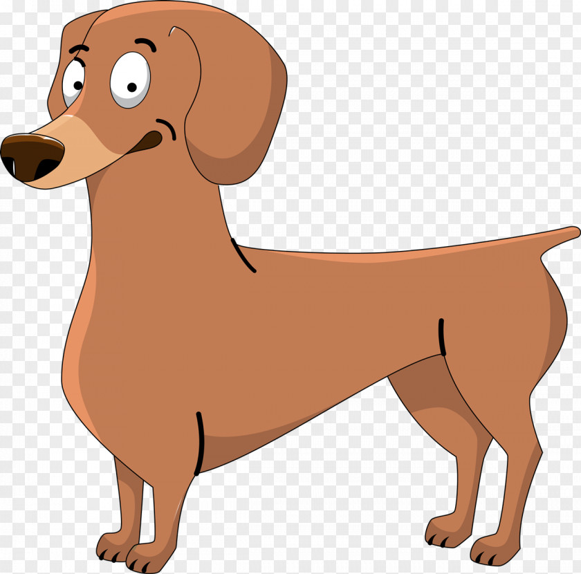 Puppy Dachshund Dog Breed Companion Clip Art PNG