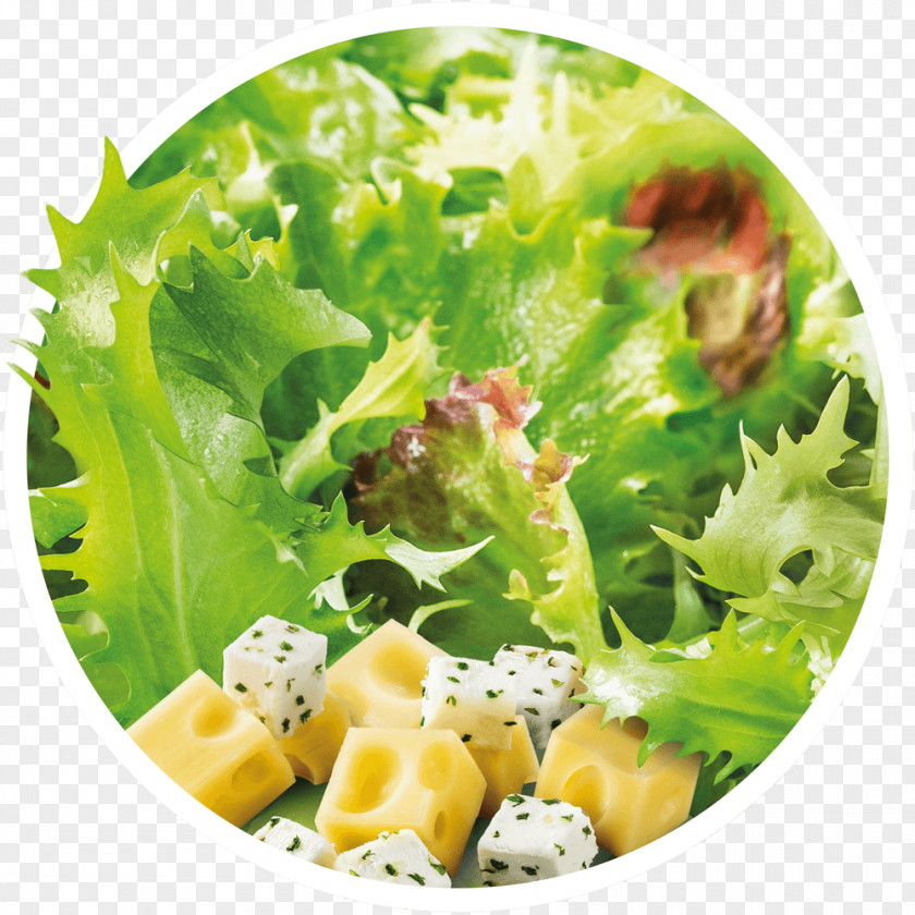 Salad Caesar Lettuce Crudités Sauce PNG
