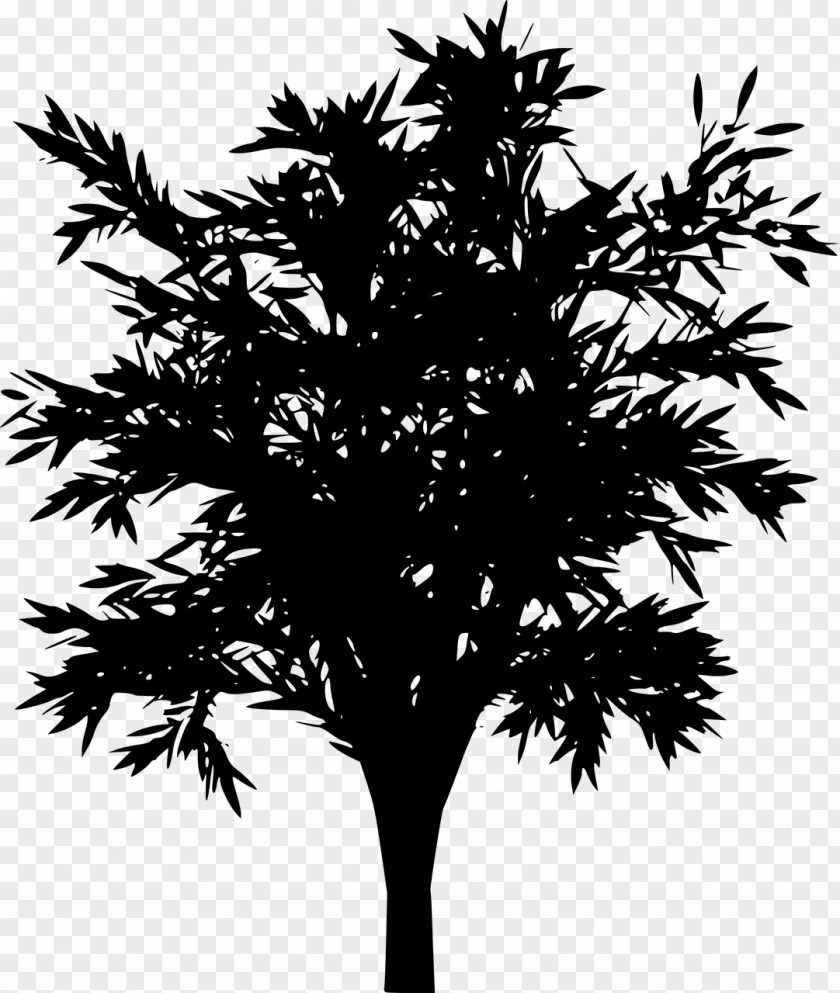 Tree Silhouette Choppi Bird Drawing PNG