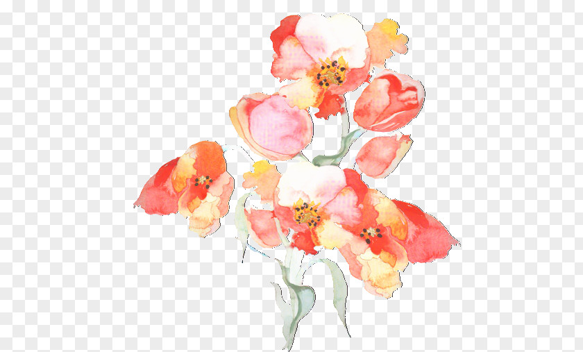 Floral Design Cut Flowers Watercolor Painting Flower Bouquet PNG