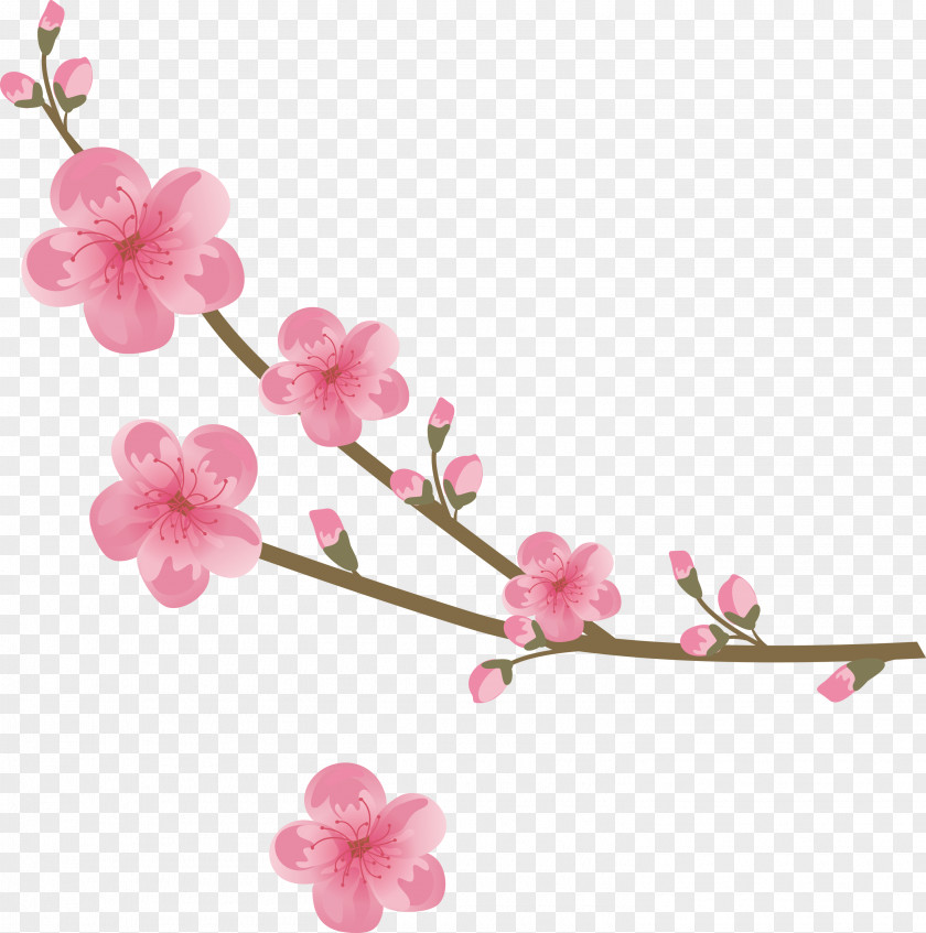 Flowers Floral PNG