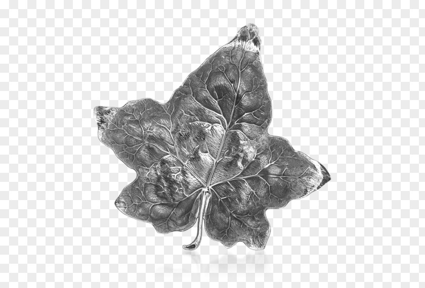 Leaf Buccellati Silver Jewellery Aspen PNG