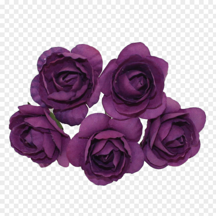 Mulberry Paper Centifolia Roses Garden Cut Flowers PNG
