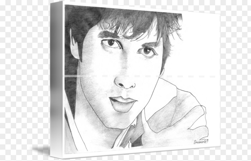 Shahid Kapoor Drawing You Too Can Draw Painting Sketch PNG