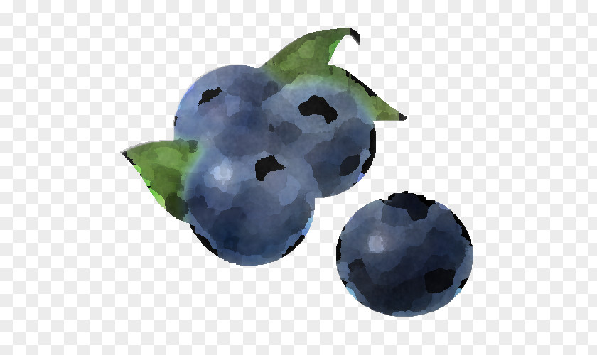 Berry Blueberry Bilberry Fruit Plant PNG