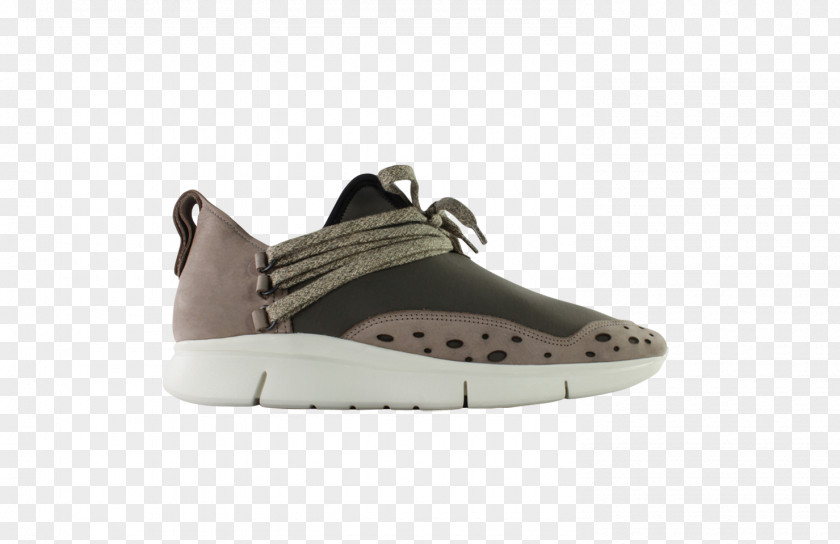 Design Shoe Sneakers Footwear PNG
