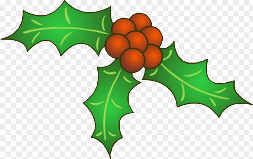 Mistletoe Christmas Santa Claus Clip Art PNG