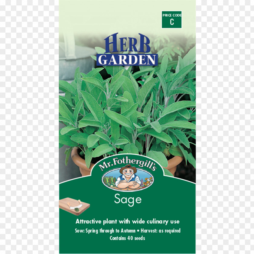 Sage Herb Common Clary Seed Dog Meat PNG