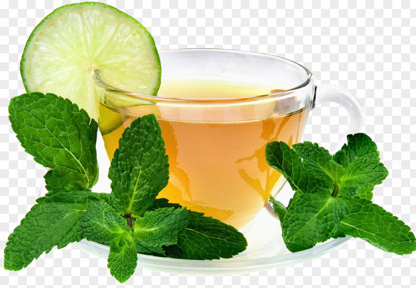 Tea Maghrebi Mint Green Drink PNG