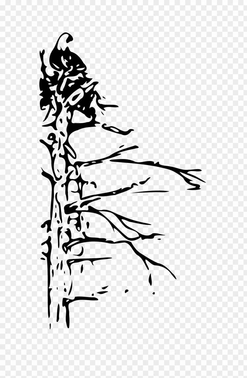 Dead Tree Bald Eagle Bird Clip Art PNG