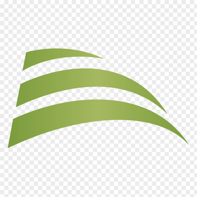 Line Logo Brand Leaf PNG
