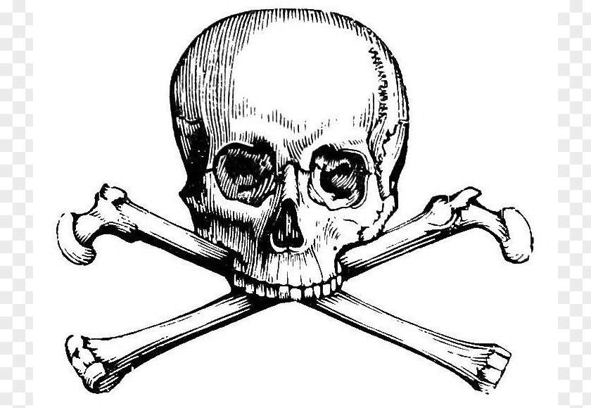 Skull And Crossbones Image Bones Human Symbolism Calavera PNG