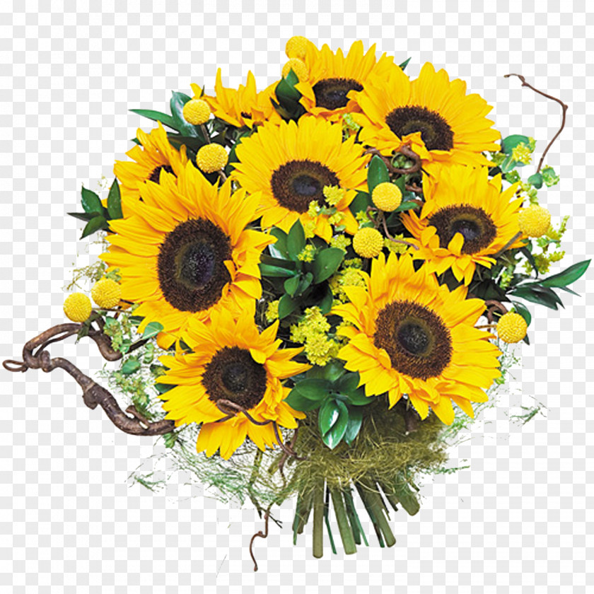 19 Mayis Common Sunflower Flower Bouquet Floral Design Cut Flowers PNG