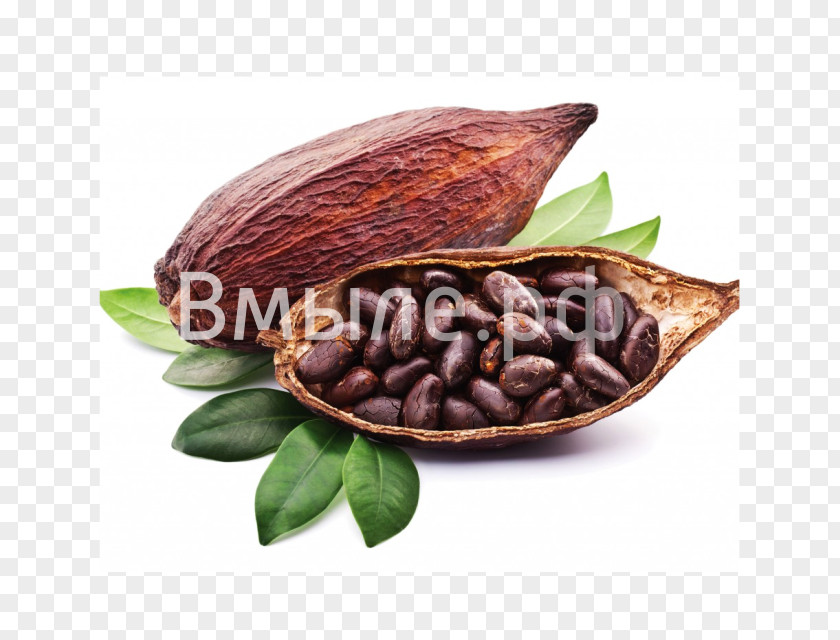 Chocolate Cocoa Bean Solids Hot Liquor PNG