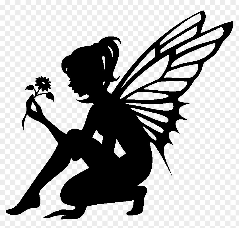 Fairy Disney Fairies Tooth Black And White Clip Art PNG