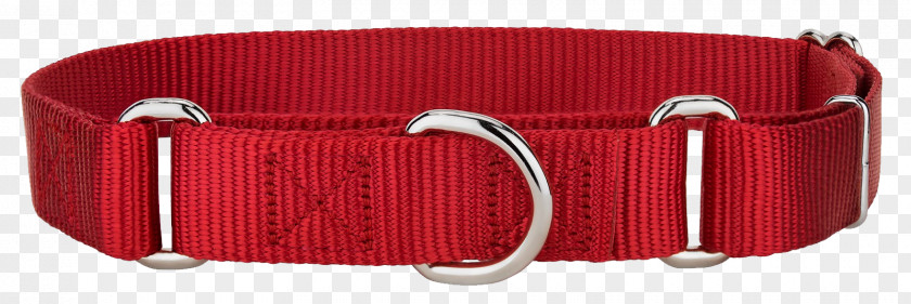 Red Collar Poodle Dog Martingale Dingo PNG