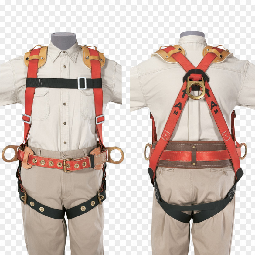Falling Fall Arrest Safety Harness Protection Climbing Harnesses PNG
