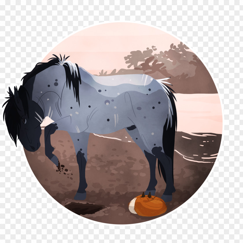 Mustang Stallion Freikörperkultur Yonni Meyer Horse PNG