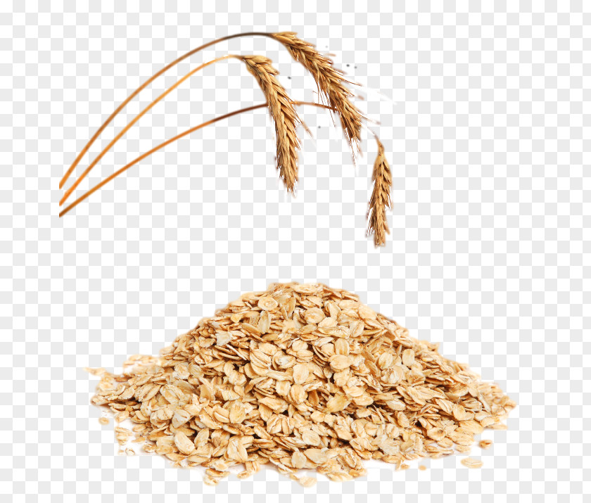 Oats Muesli Oat Breakfast Cereal Corn Flakes Ear PNG