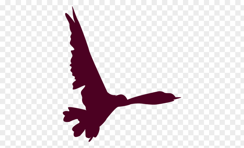 Origami Bird Eagle Flight Clip Art PNG