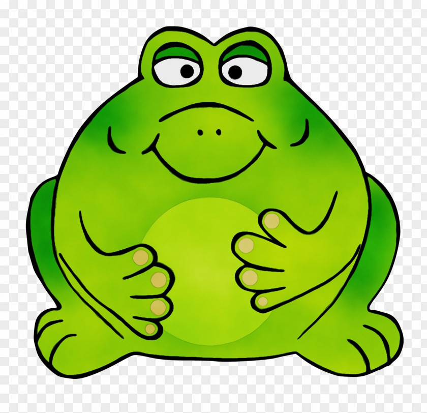 Amphibians Frogs Toad True Frog Cartoon PNG