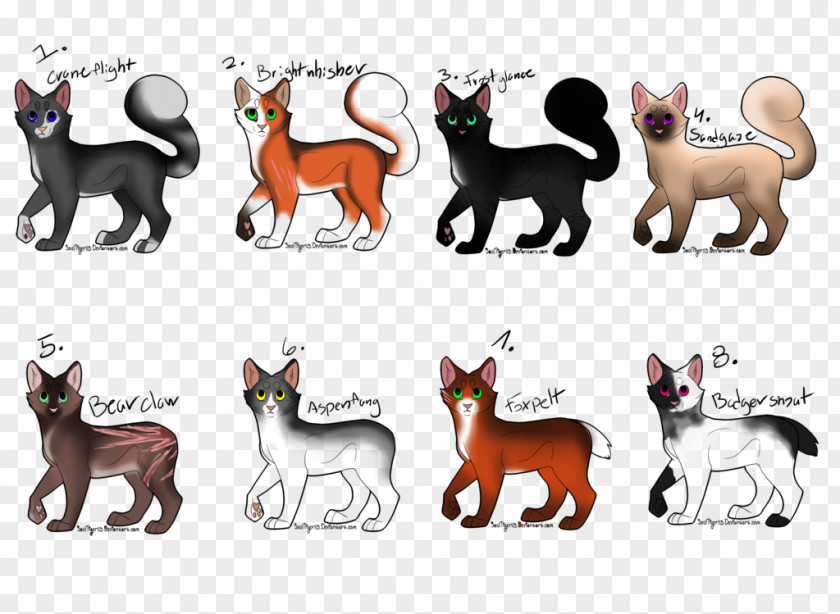 Cat Popular Names Dog Breed Warriors PNG