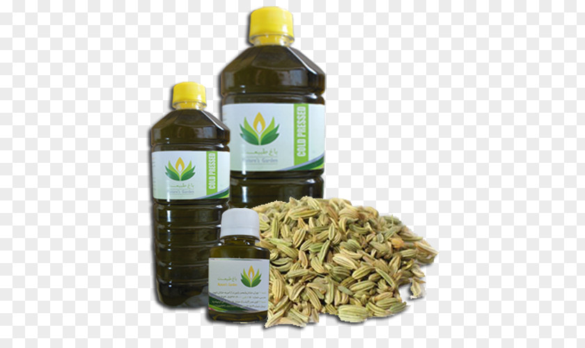Oil Soybean Fennel Flower Herb PNG