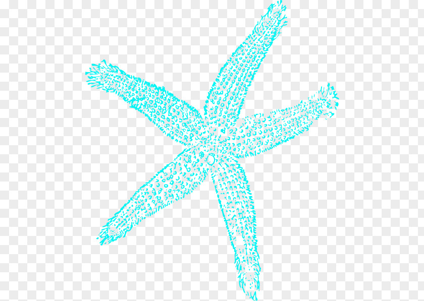 Starfish Drawing Blue Clip Art PNG