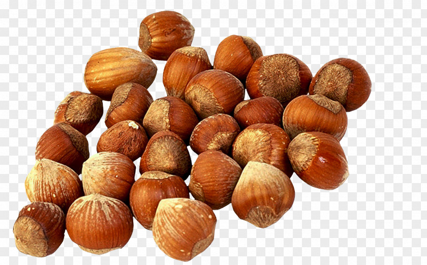 Walnut Longman Dictionary Of Contemporary English Hazelnut Meaning Almond Dish PNG