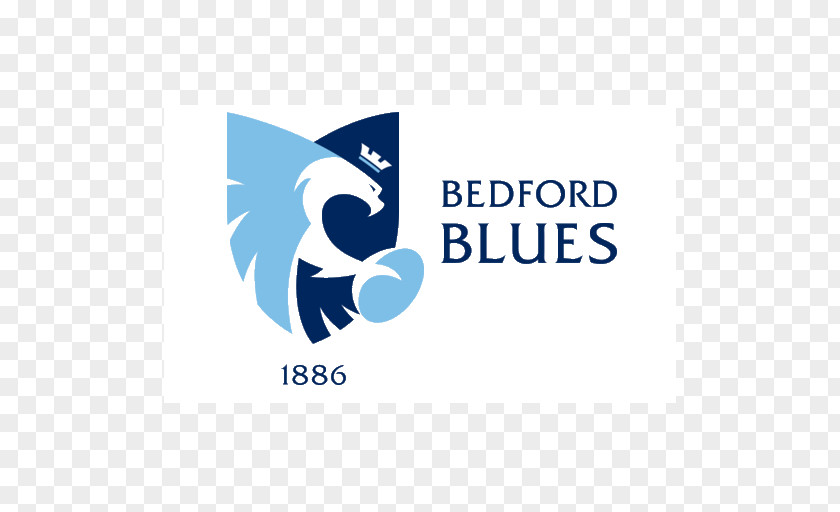 Bedford Blues Cornish Pirates RFU Championship Rugby Union PNG