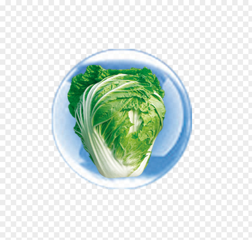 Cabbage Leaf Vegetable Vegetarian Cuisine Dish Food Vegetarianism PNG