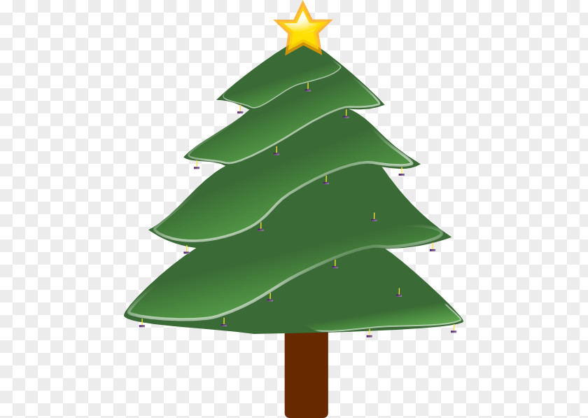 Christmas Tree Pine Fraser Fir Clip Art PNG