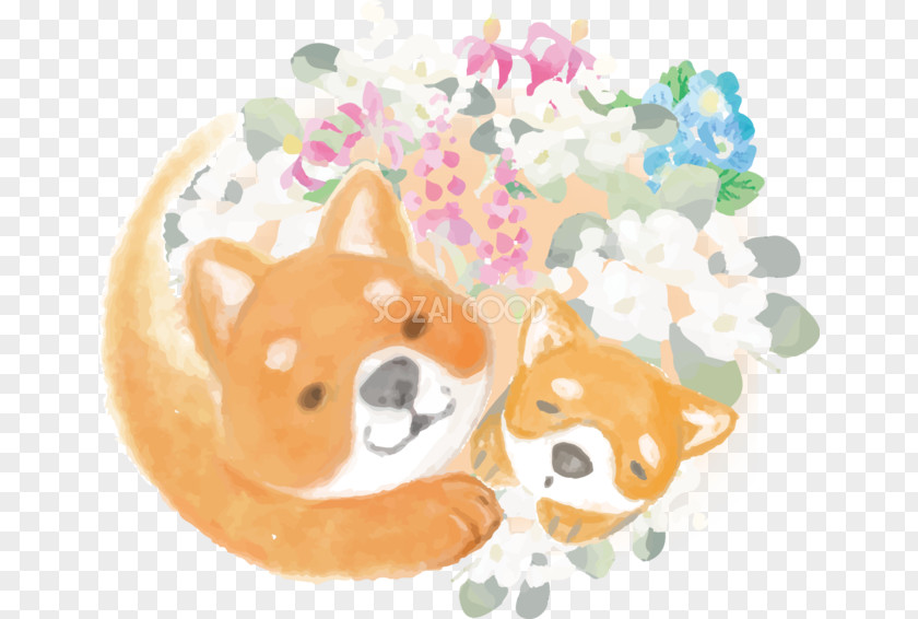 Dog Illust Pomeranian Puppy 亲子关系 Parent 乐游旅行社股份有限公司 PNG