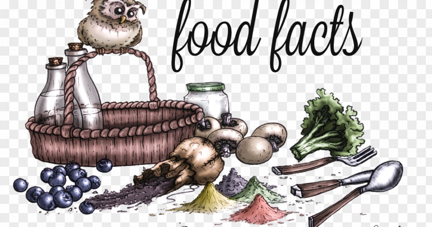 Fontain Food Sticker Other Backward Class Sleep PNG