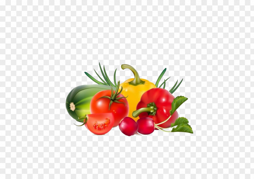 Fresh Vegetables Vegetable Fruit Illustration PNG