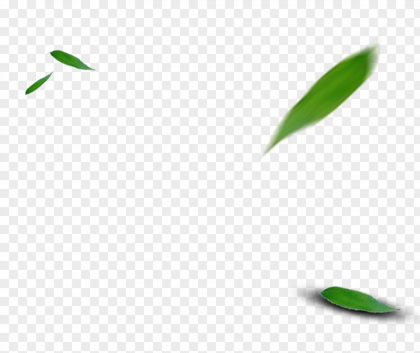 Green Bamboo Leaves Falling Leaf Pattern PNG