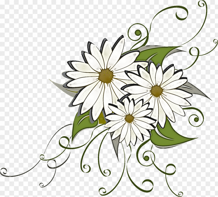 Marguerite Gerbera Daisy PNG