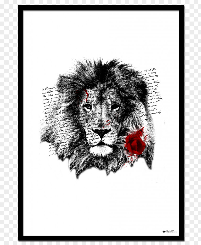 T-shirt Lion Wildlife Greeting & Note Cards Crew Neck PNG