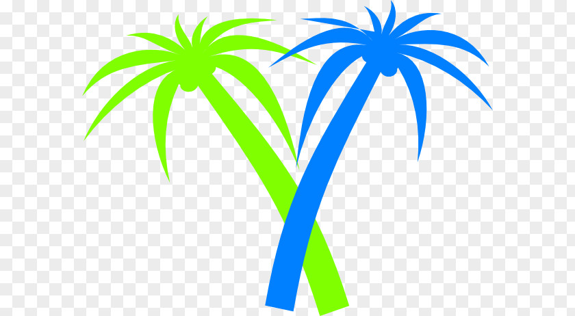 Transparent Cartoon Palm Tree Arecaceae Sabal Clip Art PNG