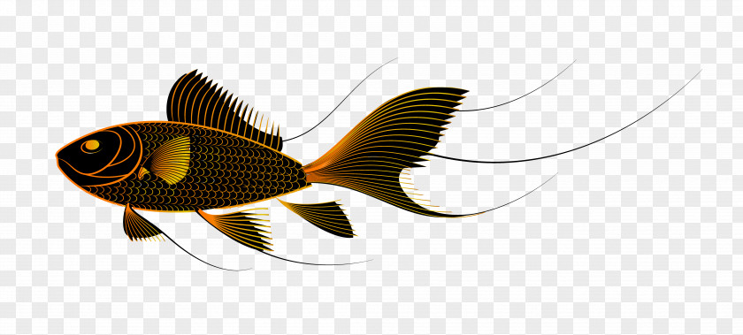 Cute Black Fish Goldfish Clip Art PNG