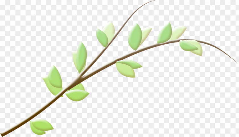 Recycled Branch Leaf Twig PNG