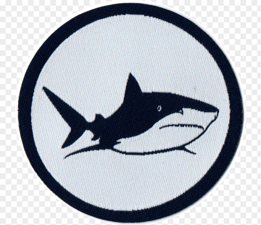 Shark Schwimmabzeichen Sailfish Frühschwimmer Aquemini PNG