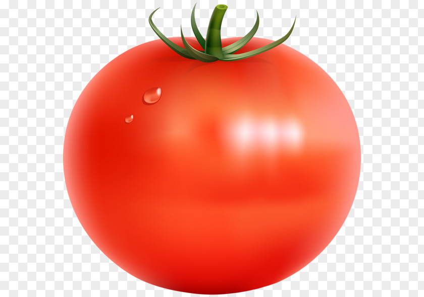 Tomato Cherry Vegetable Fruit Clip Art PNG