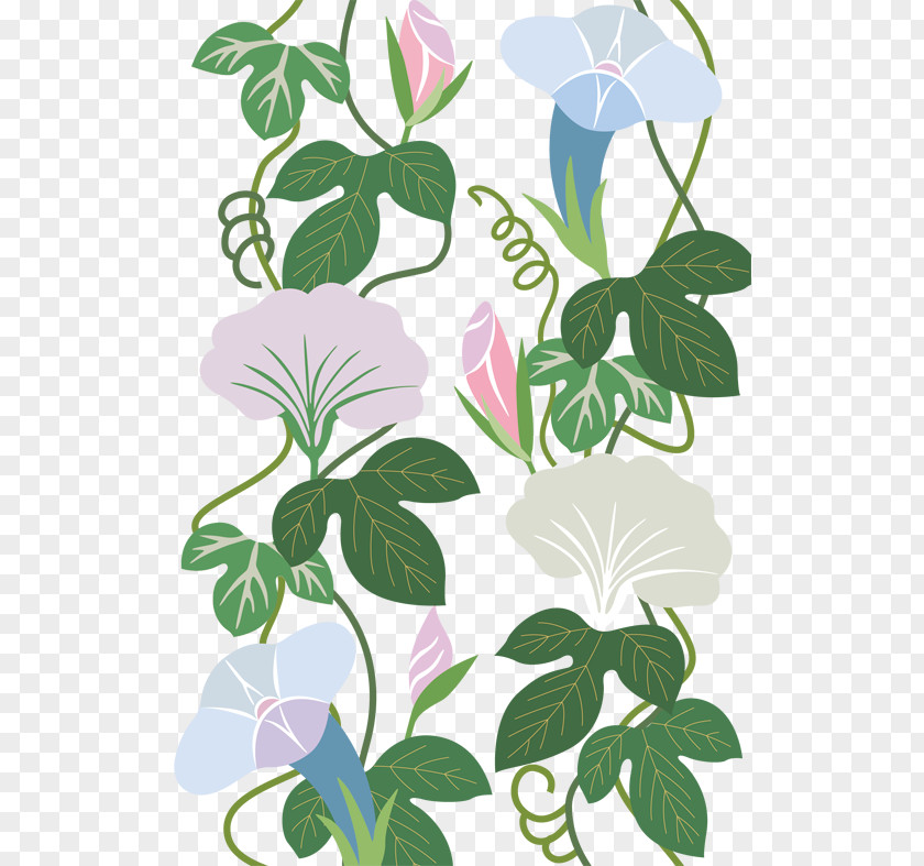 Trumpet Flower Vines Shading Material Obscure PNG