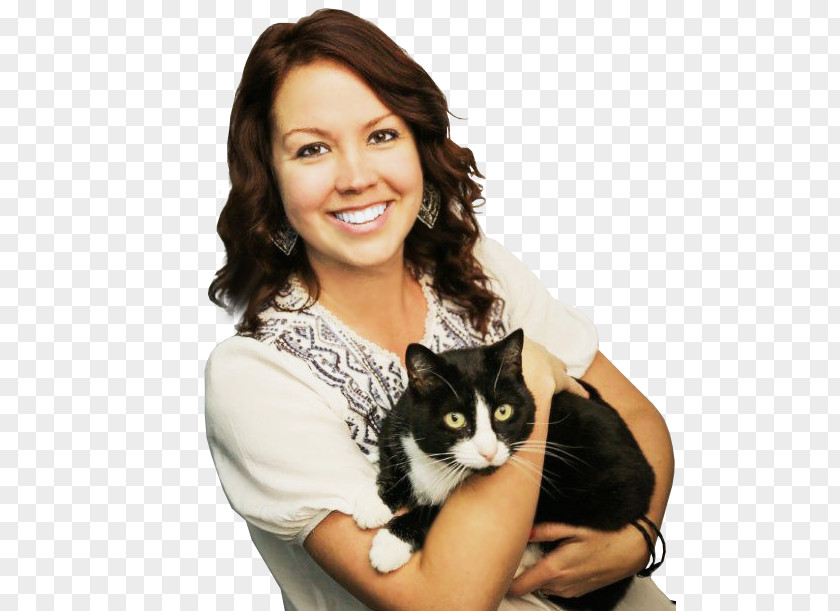 Cat Whiskers Pet Sitting Domestic Short-haired PNG