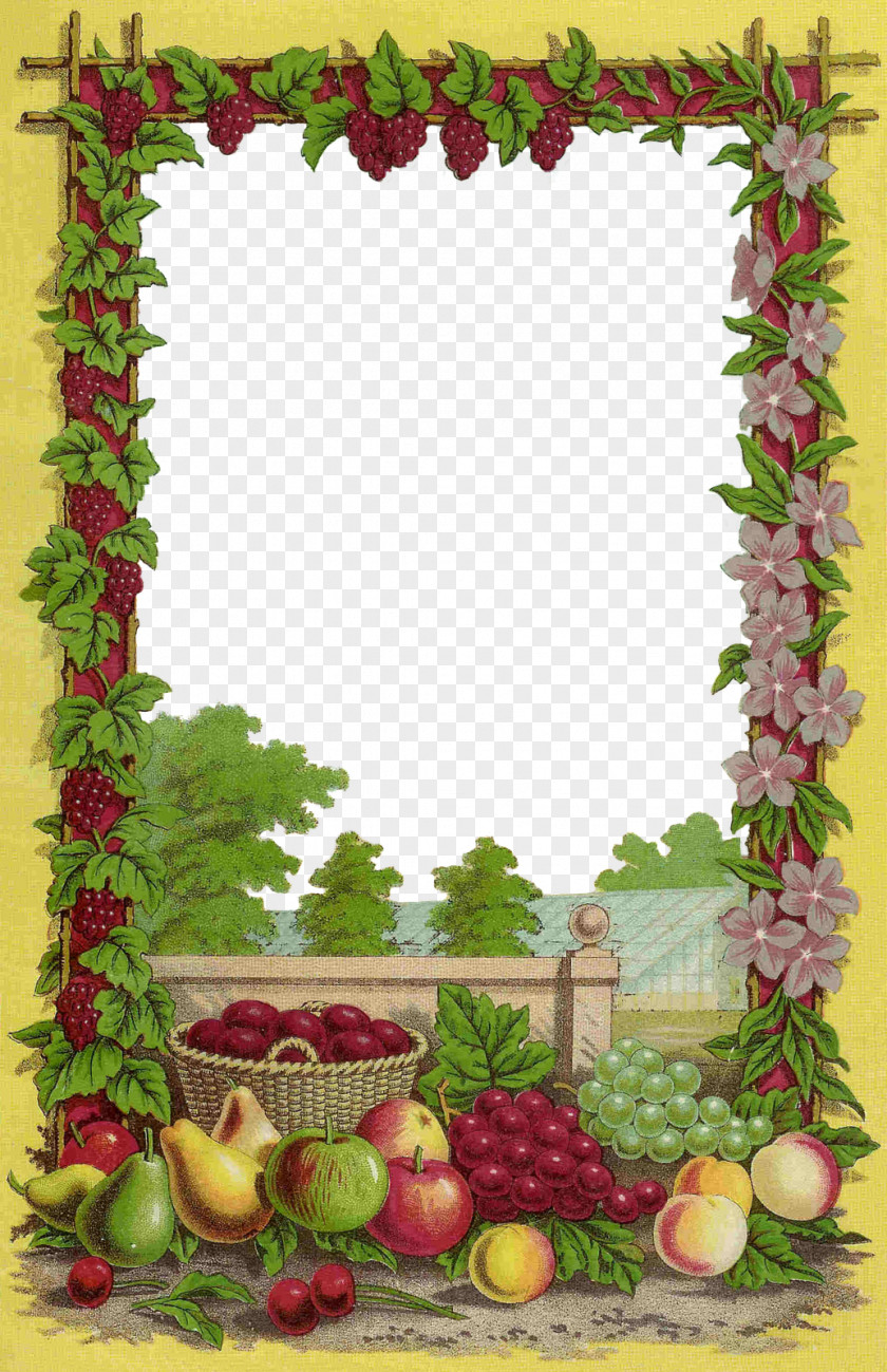 Fruit Borders Cliparts Picture Frames Seed Clip Art PNG