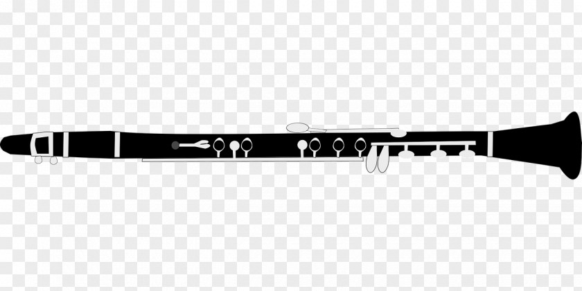 Musical Instruments The Clarinet Wind Instrument PNG
