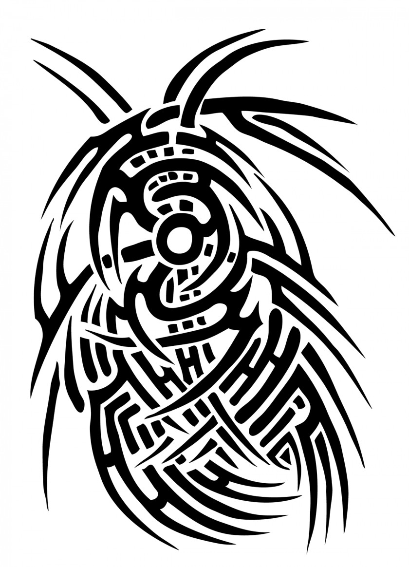 Tribal Crow Tattoo Designs Tribe Nation Line Art Clip PNG